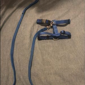 Dog’s harness & leash set